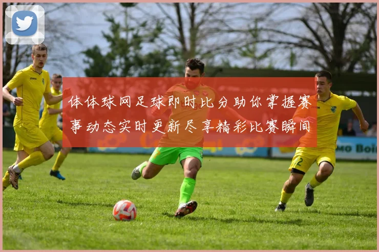 体体球网足球即时比分助你掌握赛事动态实时更新尽享精彩比赛瞬间