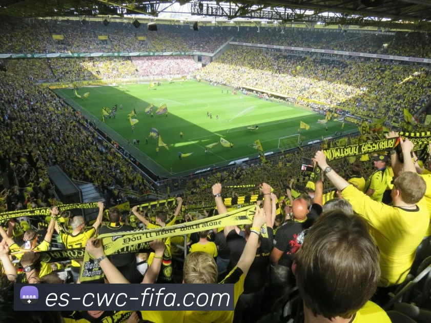 2026世界杯平台生态图